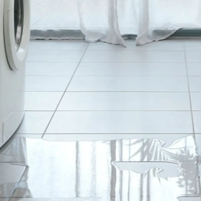 Appliance Leak Cleanup in Elberton, GA
