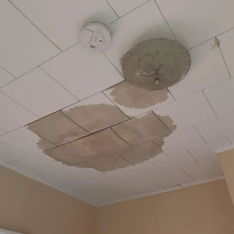 Ceiling Water Damage Repair in Elberton, GA