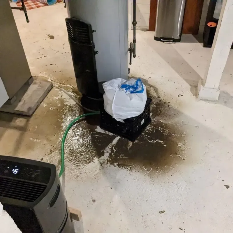 Sewage Backup Cleanup Service in Elberton, GA